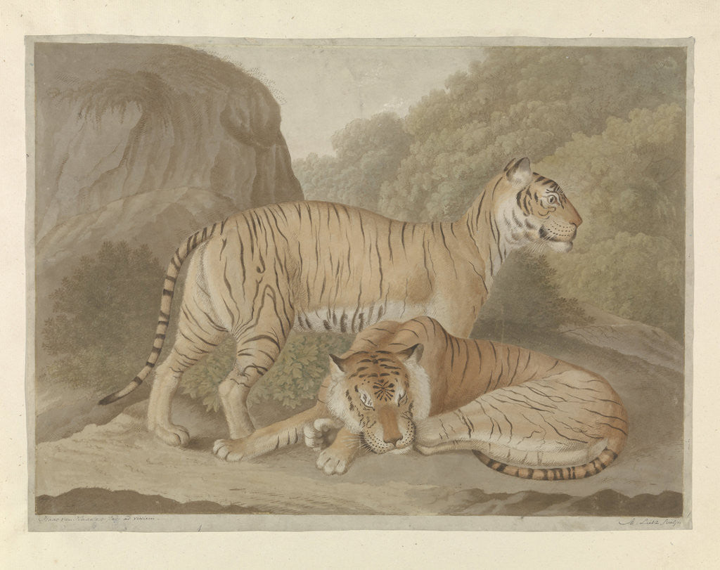 Detail of Two tigers in a landscape by A. Lutz