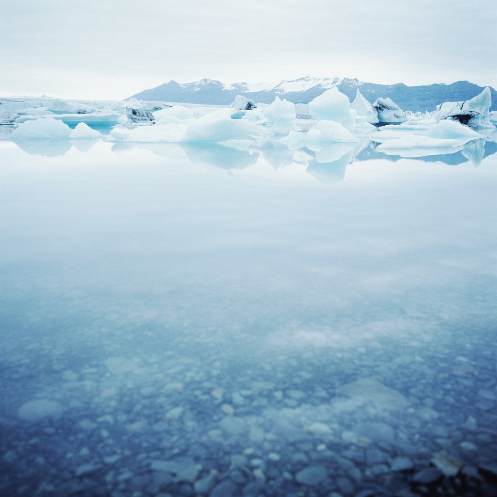 Detail of Icey Waters by Corbis