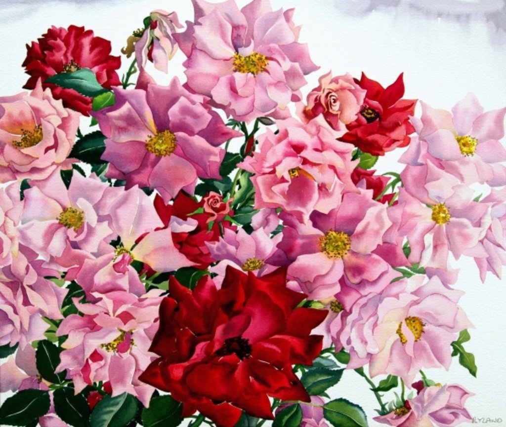 Detail of Red and Pink Roses, 2008 by Christopher Ryland