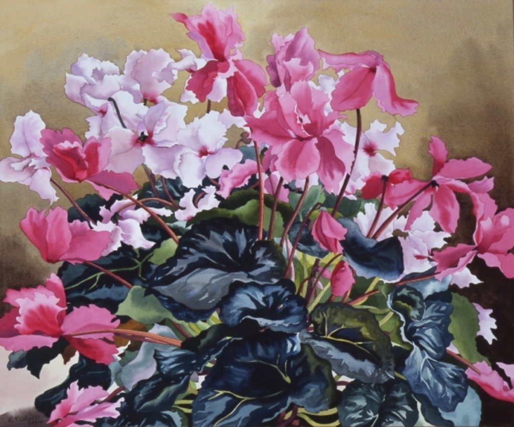 Detail of Cyclamen, 2004 by Christopher Ryland