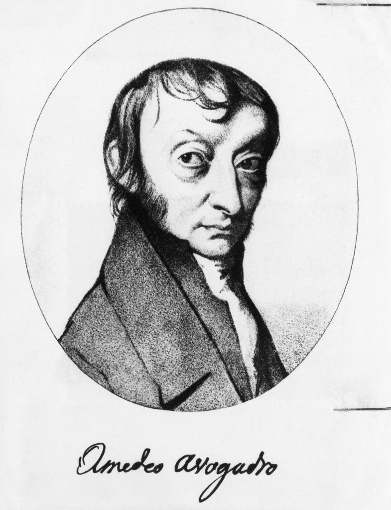 Detail of Portrait of Count Amedeo Avogadro by Corbis