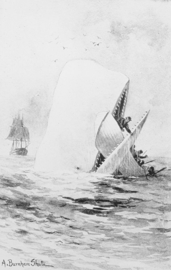 Detail of Illustration for Moby Dick by A. Burnham Shute