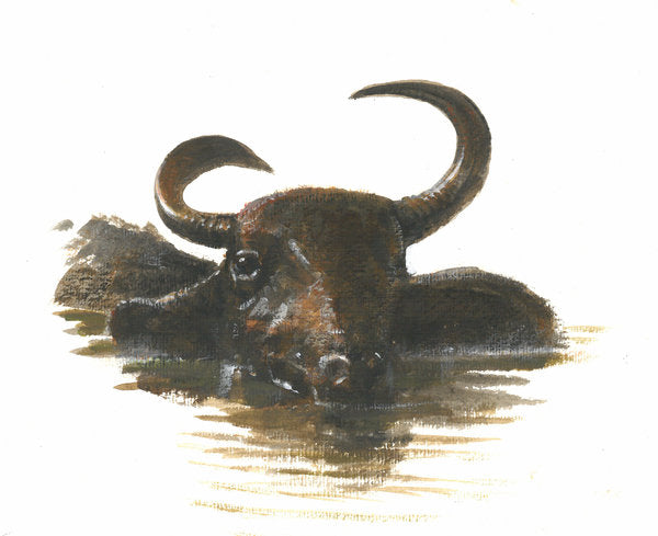 Detail of Water Buffalo, 2015 by Lincoln Seligman