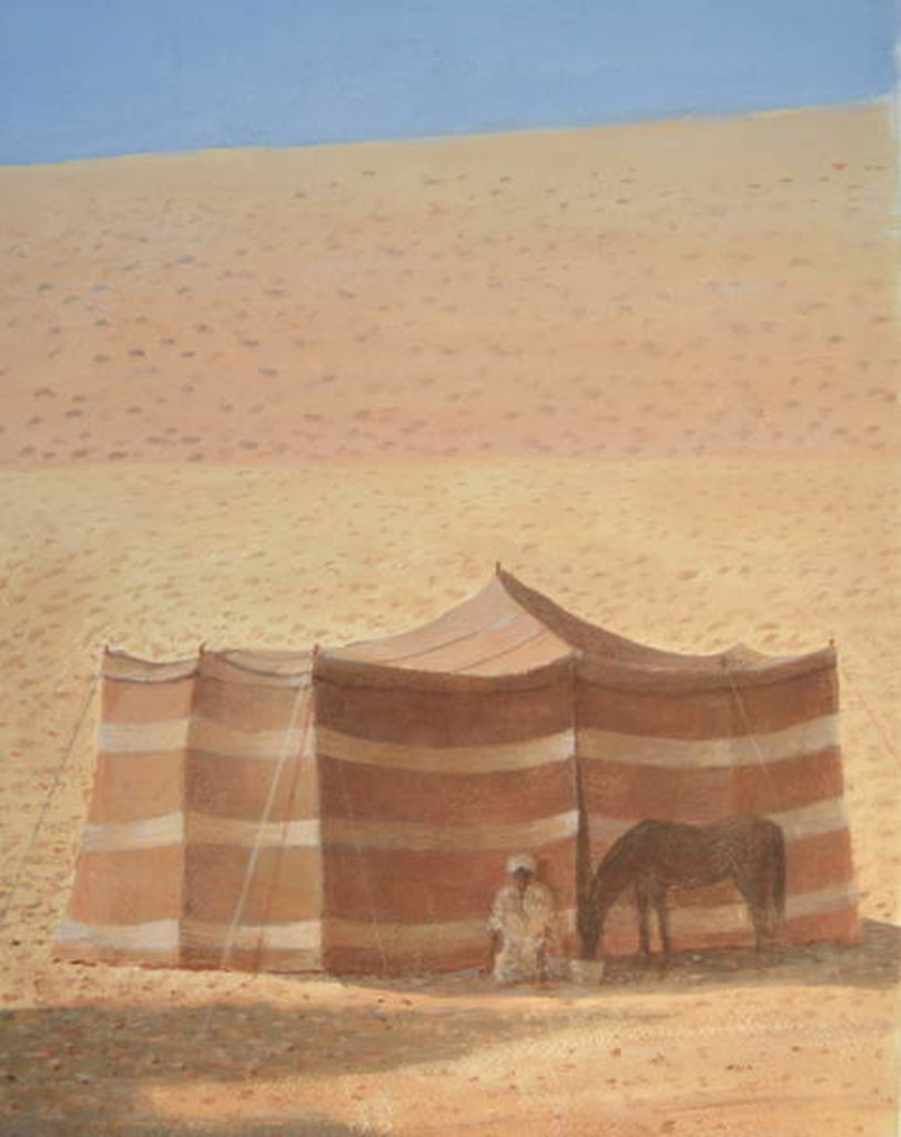 Detail of Desert Tent Rajasthan by Lincoln Seligman