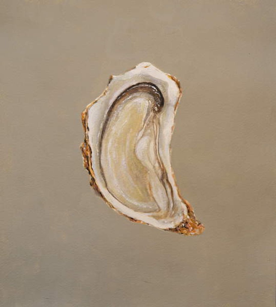 Detail of Oyster 2, 2019 by Lincoln Seligman