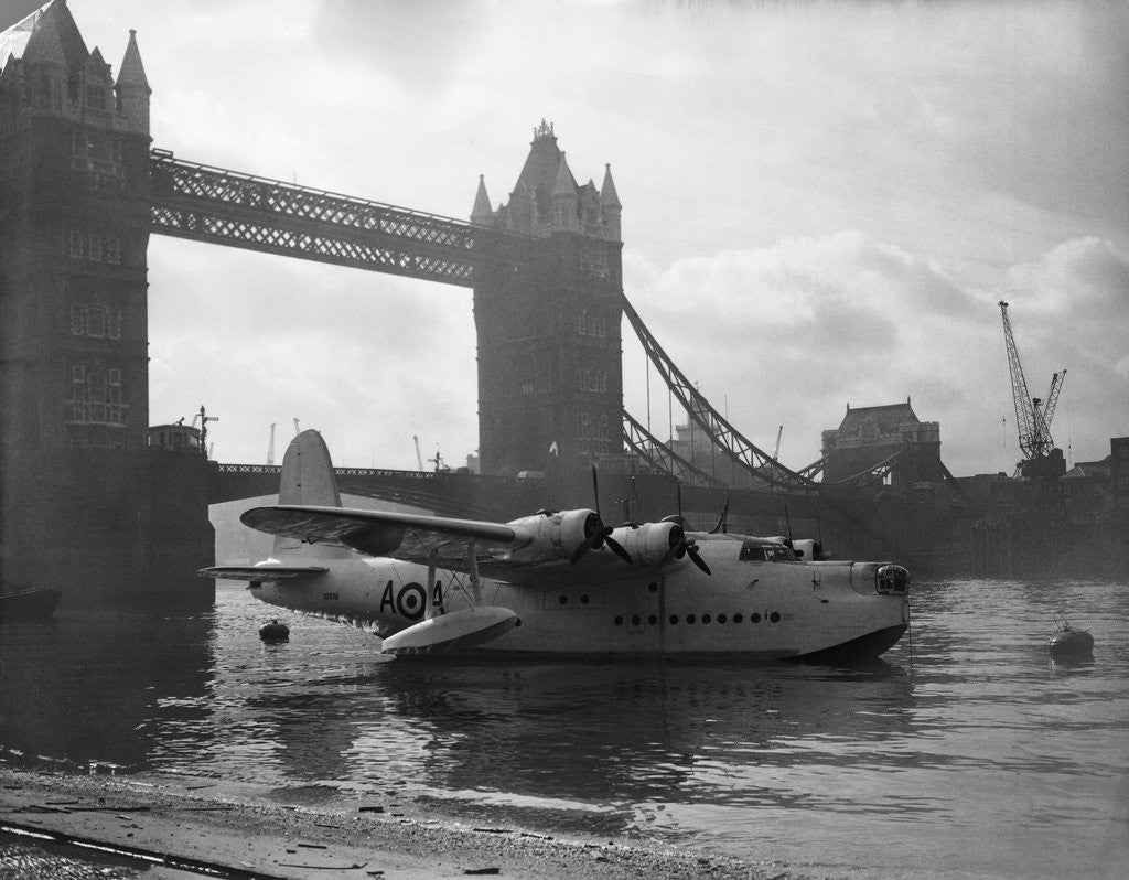 Detail of Sunderland Flying Boat Being Displayed By Tower Bridge by Corbis