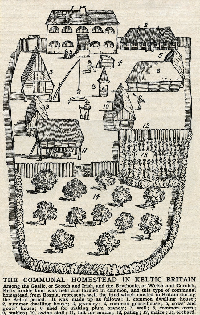 Detail of Diagram of Communal Homestead by Corbis