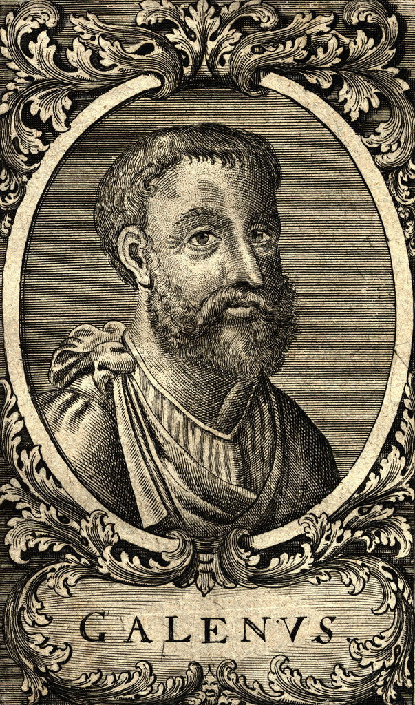 Detail of Portrait of Galen by Corbis