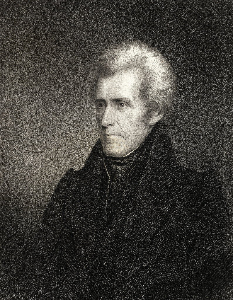 Detail of Portrait of Andrew Jackson by Corbis