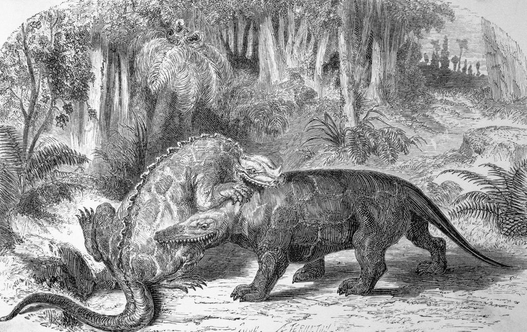 Detail of Illustration of Dinosaurs Fighting by Corbis