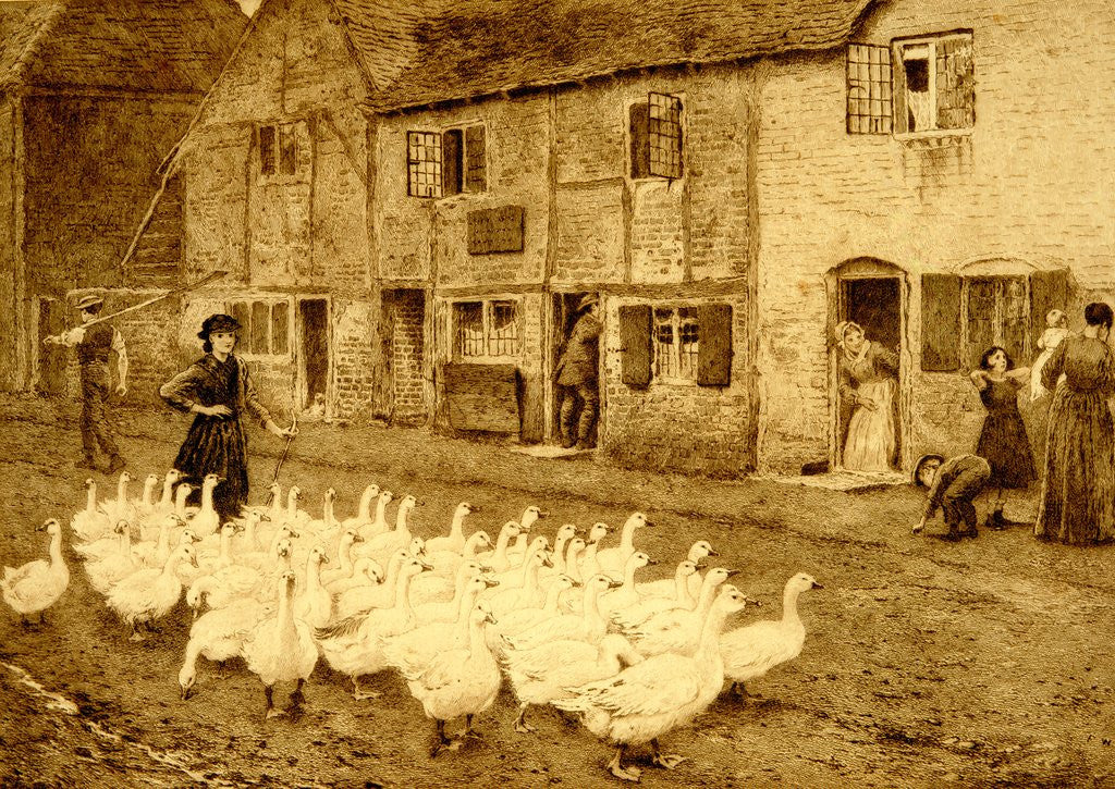 Detail of Geese by Myles Birket Foster