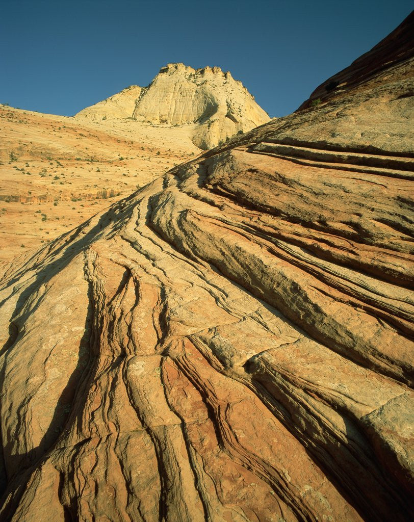 Detail of Cross-Bedded Sandstone in Zion National Park by Corbis