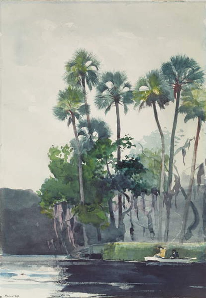 Detail of Homosassa River, 1904 by Winslow Homer