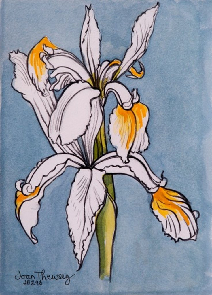 Detail of Two Irises by Joan Thewsey