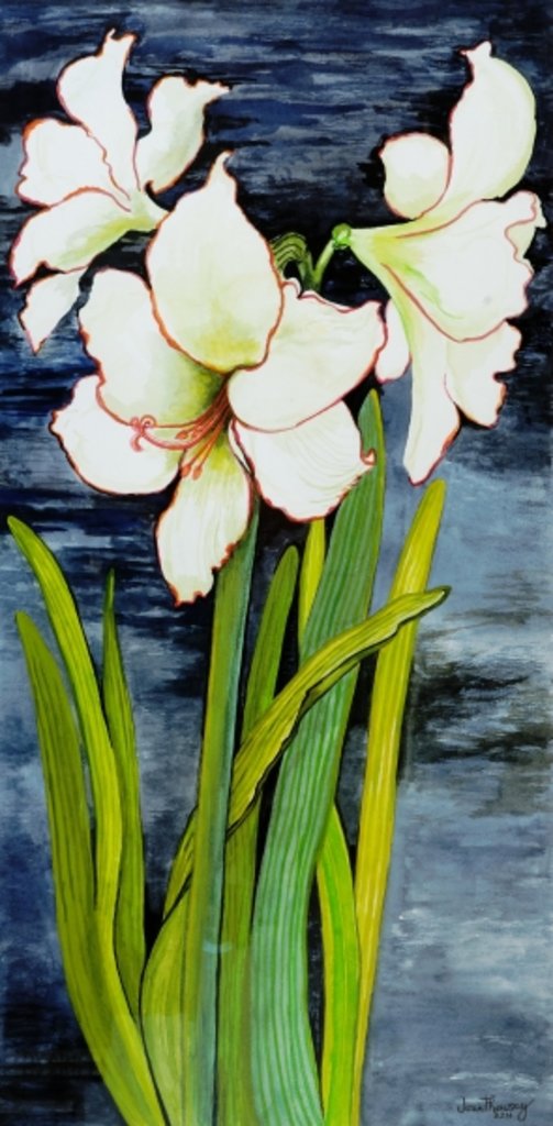 Detail of Amaryllis against a night sky by Joan Thewsey