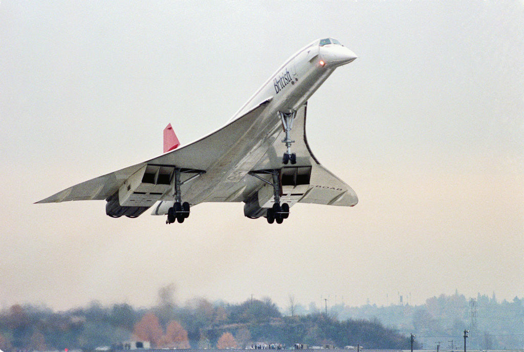 Detail of Concorde Supersonic Airliner Landing at Airport by Corbis