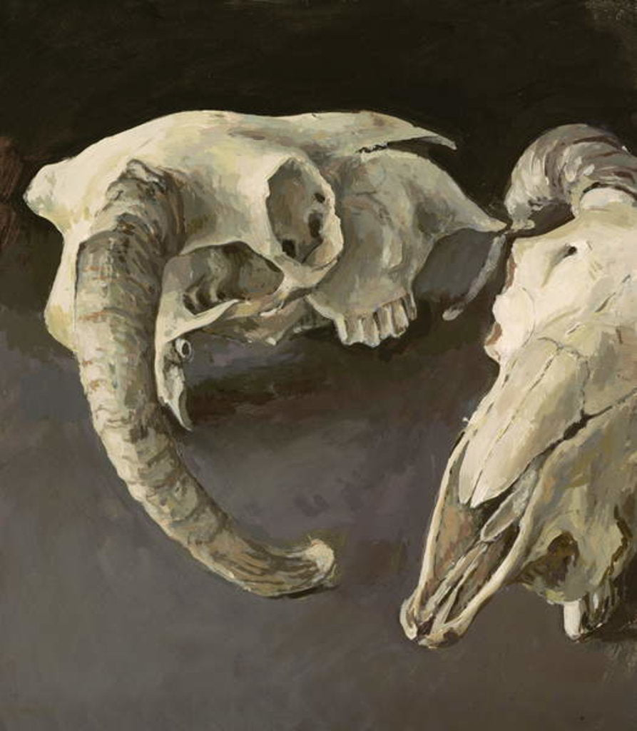 Detail of Sheep Skulls, 2001 by Vincent Yorke