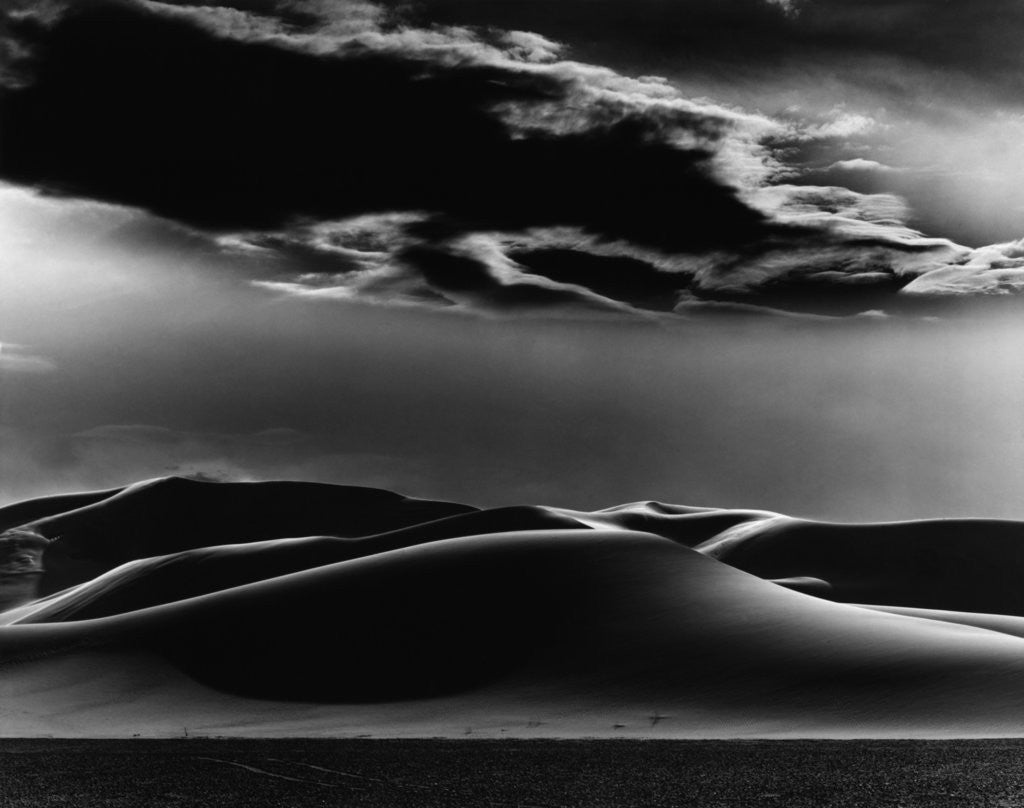 Detail of Dune Landscape by Corbis