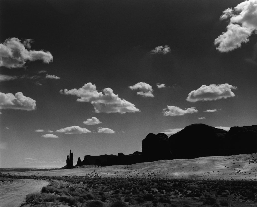 Detail of Desert Landscape by Corbis