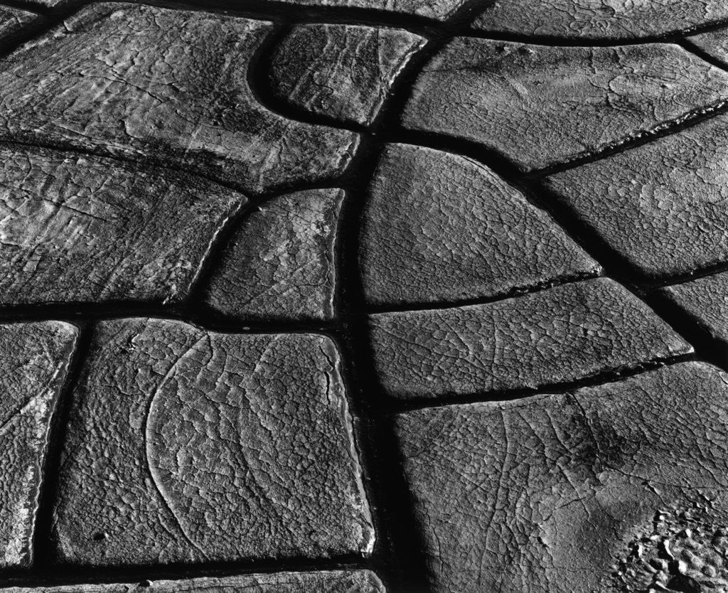 Detail of Mud Cracks by Brett Weston