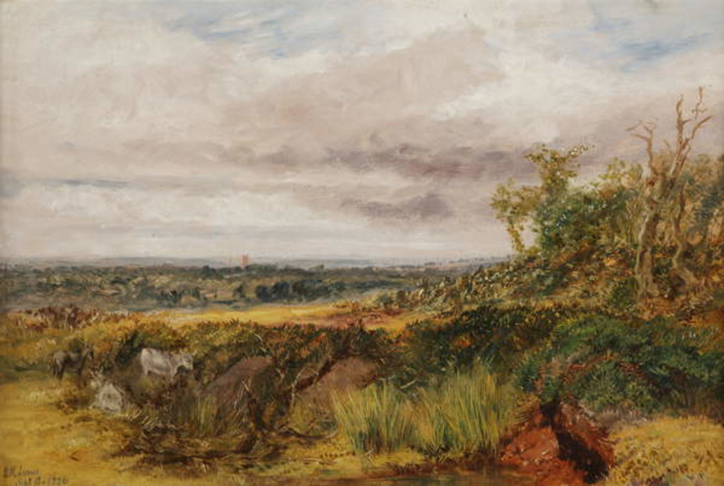 Detail of Landscape, 1856 by Henry Harris Lines