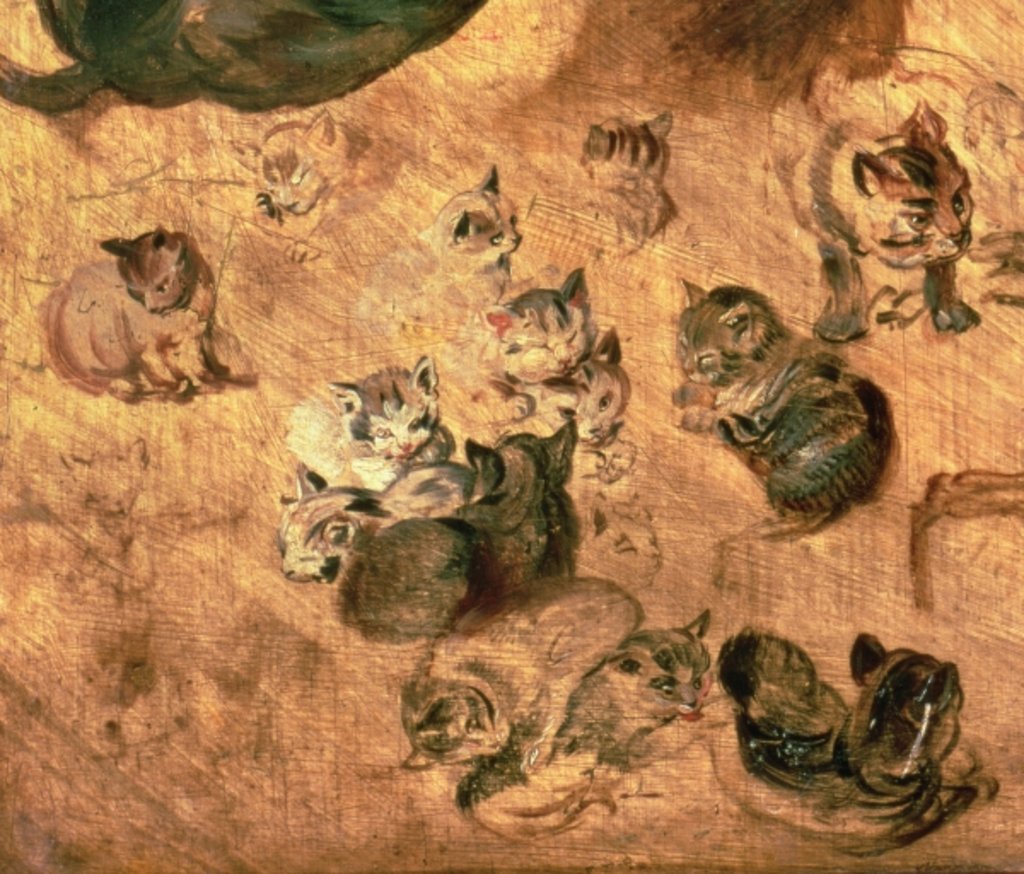 Detail of Study of cats, 1616 by Jan the Elder Brueghel