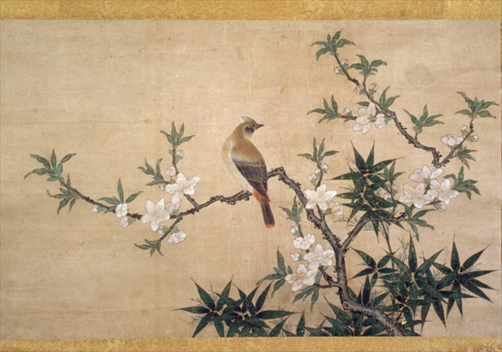 Detail of Bird on peach blossom, c.1550-60 by Kano Yukinobu