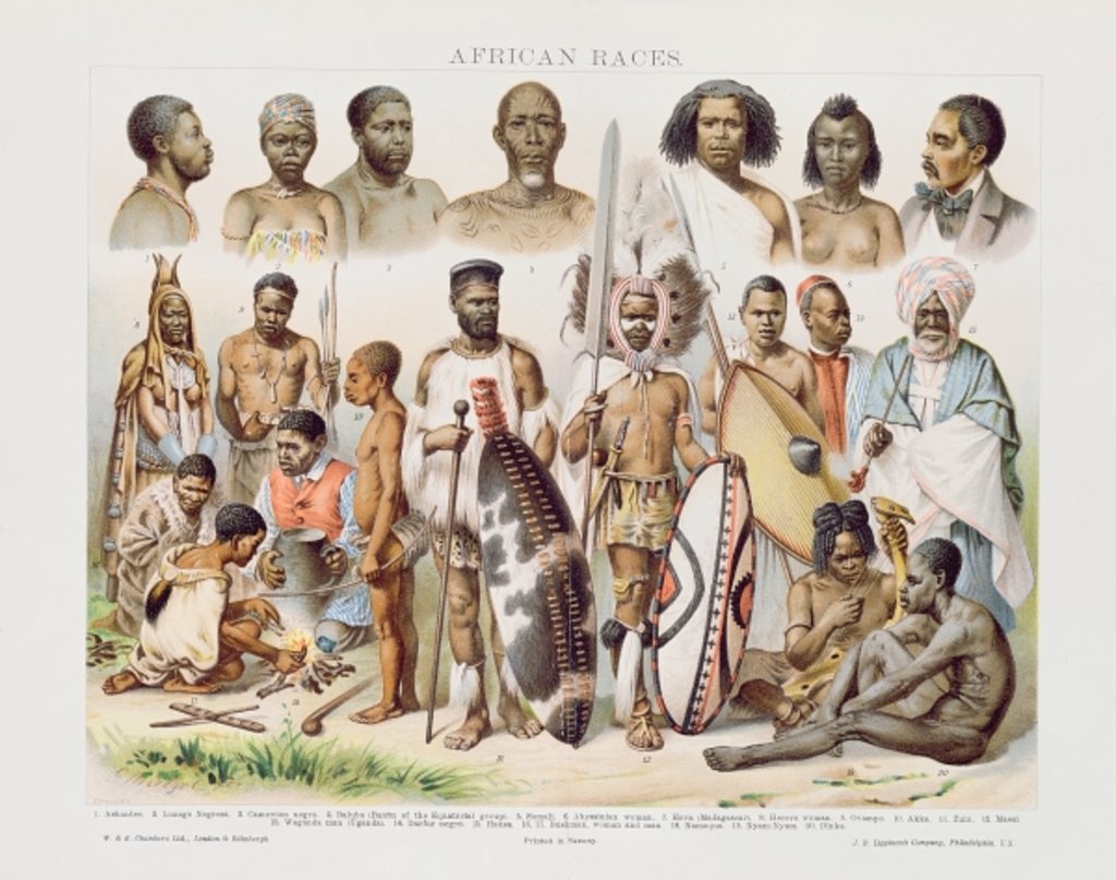 Detail of African Races by School English