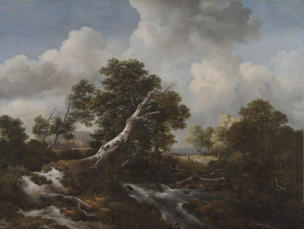 Detail of Low Waterfall in a Wooded Landscape with a Dead Beech Tree, c. 1660-70 by Jacob Isaaksz. or Isaacksz. van Ruisdael