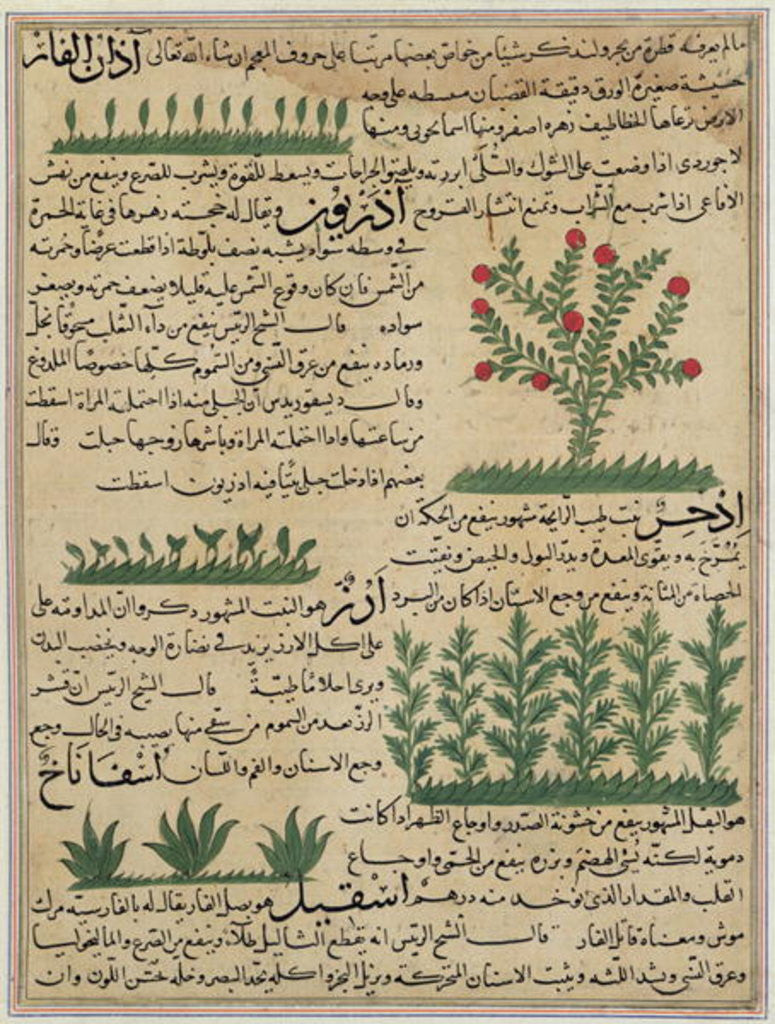 Detail of Botanical plants by Islamic School