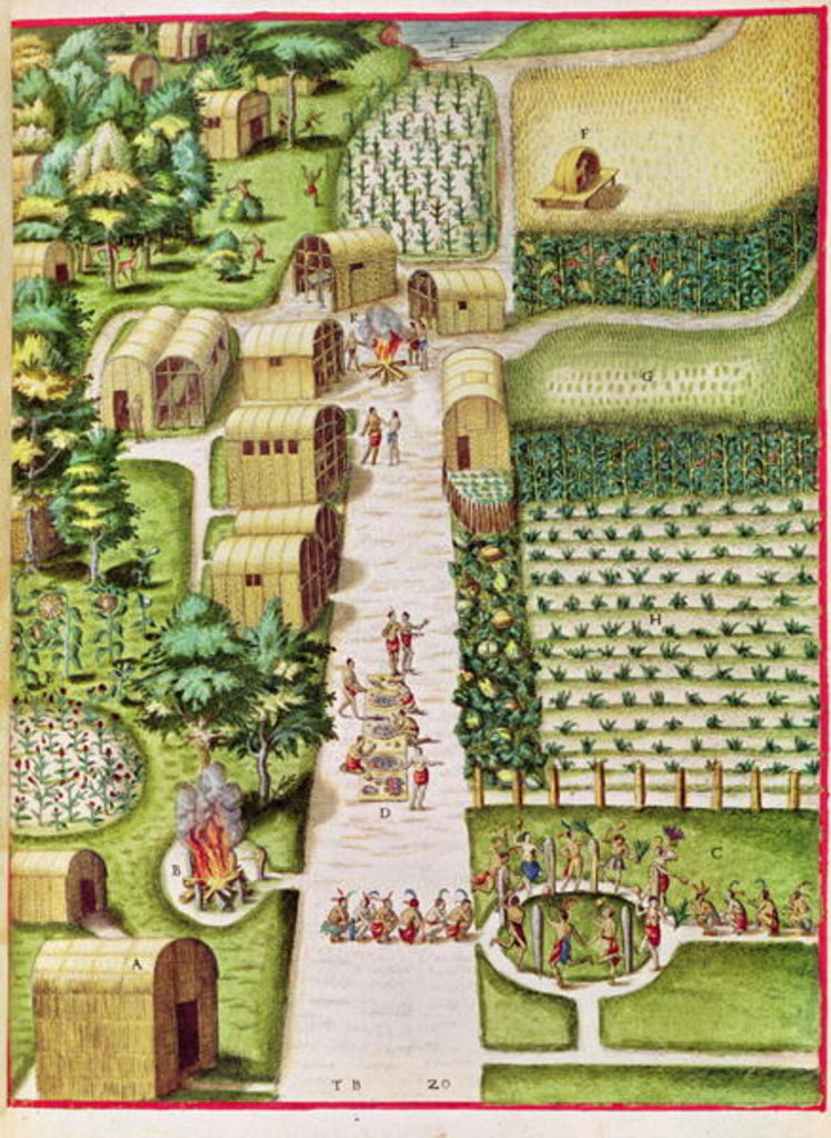 Detail of The Village of Secoton by Theodore de after White John Bry