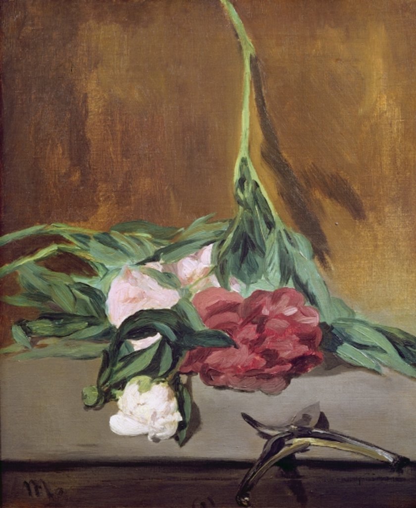 Detail of Stem of Peonies and Secateurs, c.1864 by Edouard Manet