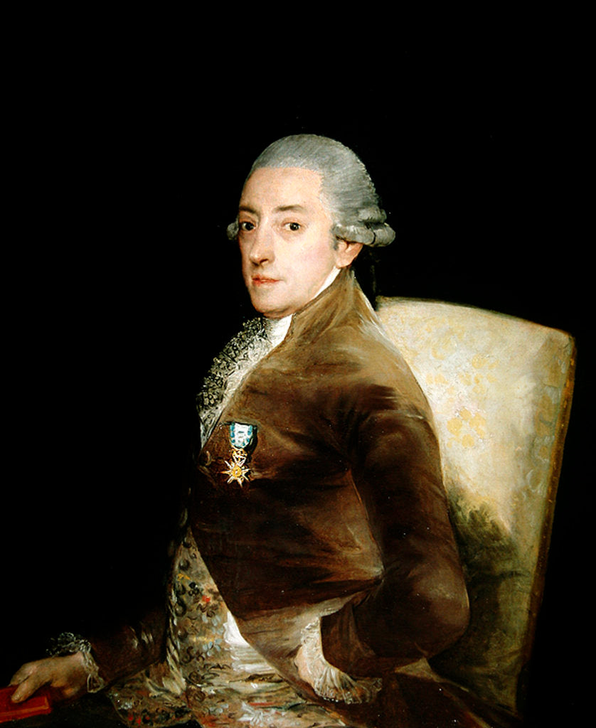 Detail of Bernardo de Iriarte, 1797 by Francisco Jose de Goya y Lucientes