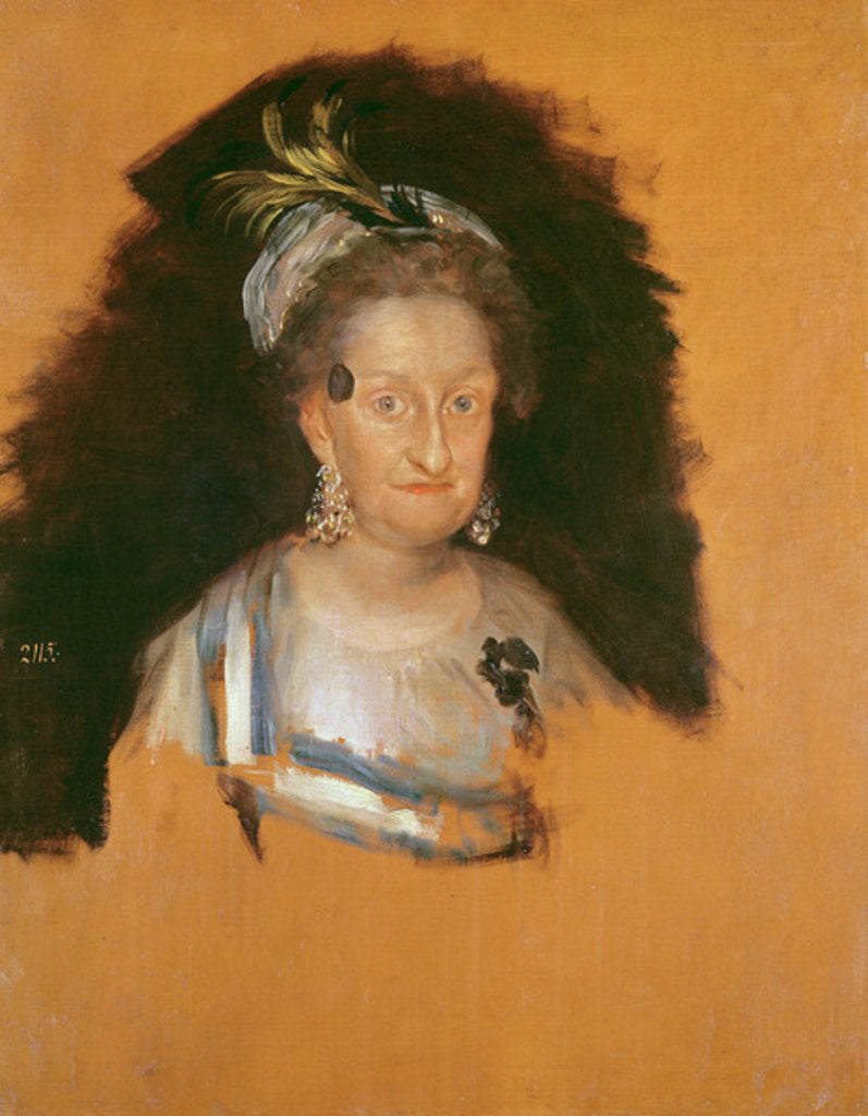 Detail of The Infanta Marie Josepha, before 1800 by Francisco Jose de Goya y Lucientes