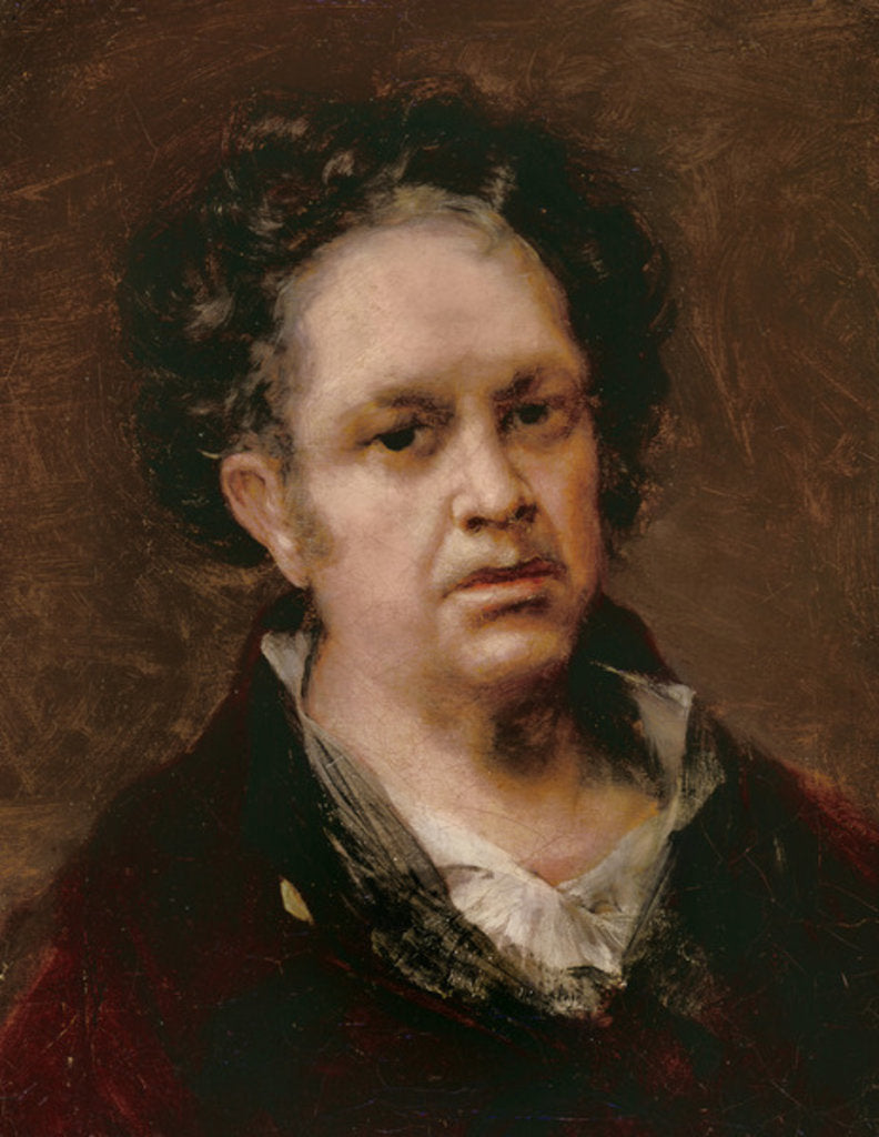 Detail of Self Portrait, 1815 by Francisco Jose de Goya y Lucientes