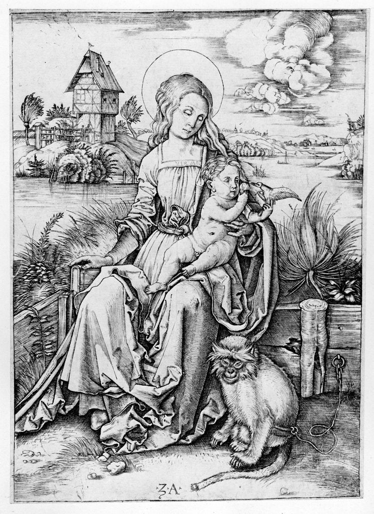 Detail of Madonna with the monkey by Albrecht Durer or Duerer