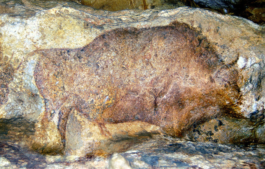 Detail of Bison in Font De Gaume, c.25,000 B.C. by Prehistoric Prehistoric