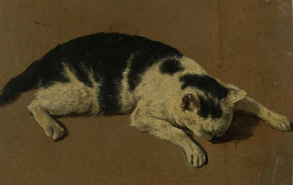 Detail of Cat lying down by Adriaen van de Velde