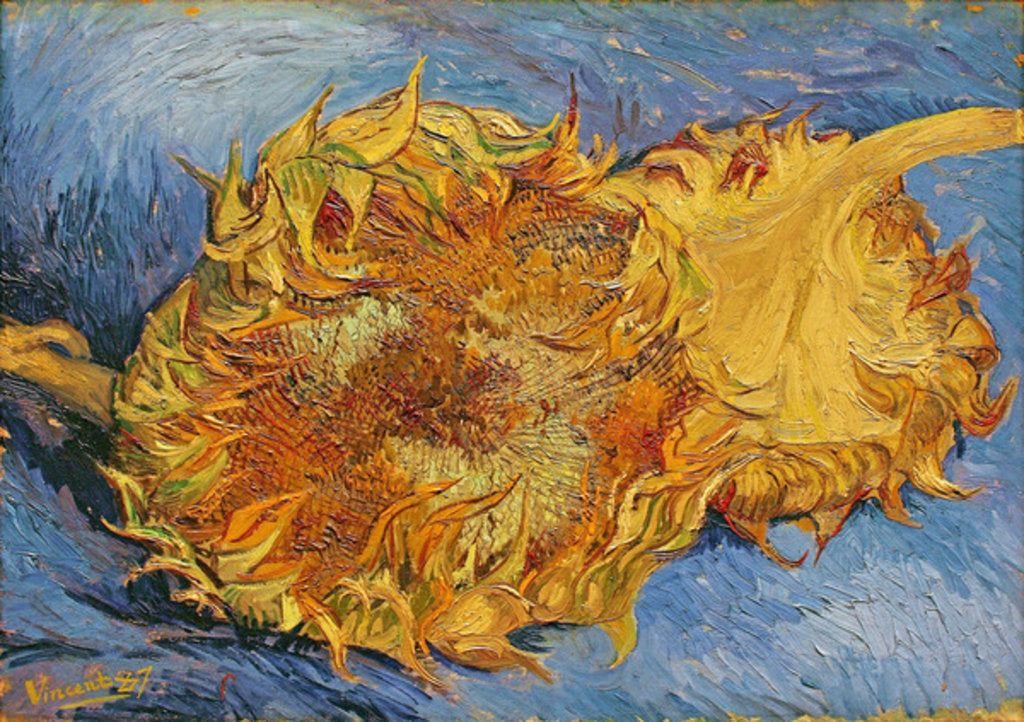 Detail of Sunflowers, 1887 by Vincent van Gogh