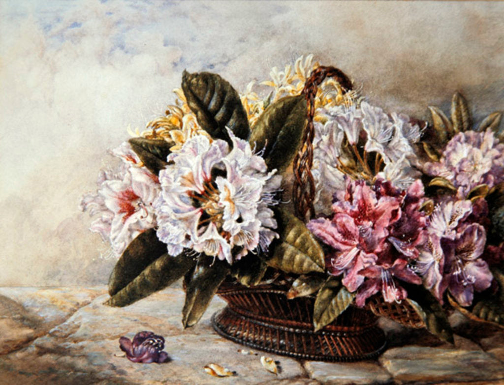 Detail of Rhododendrons by English School
