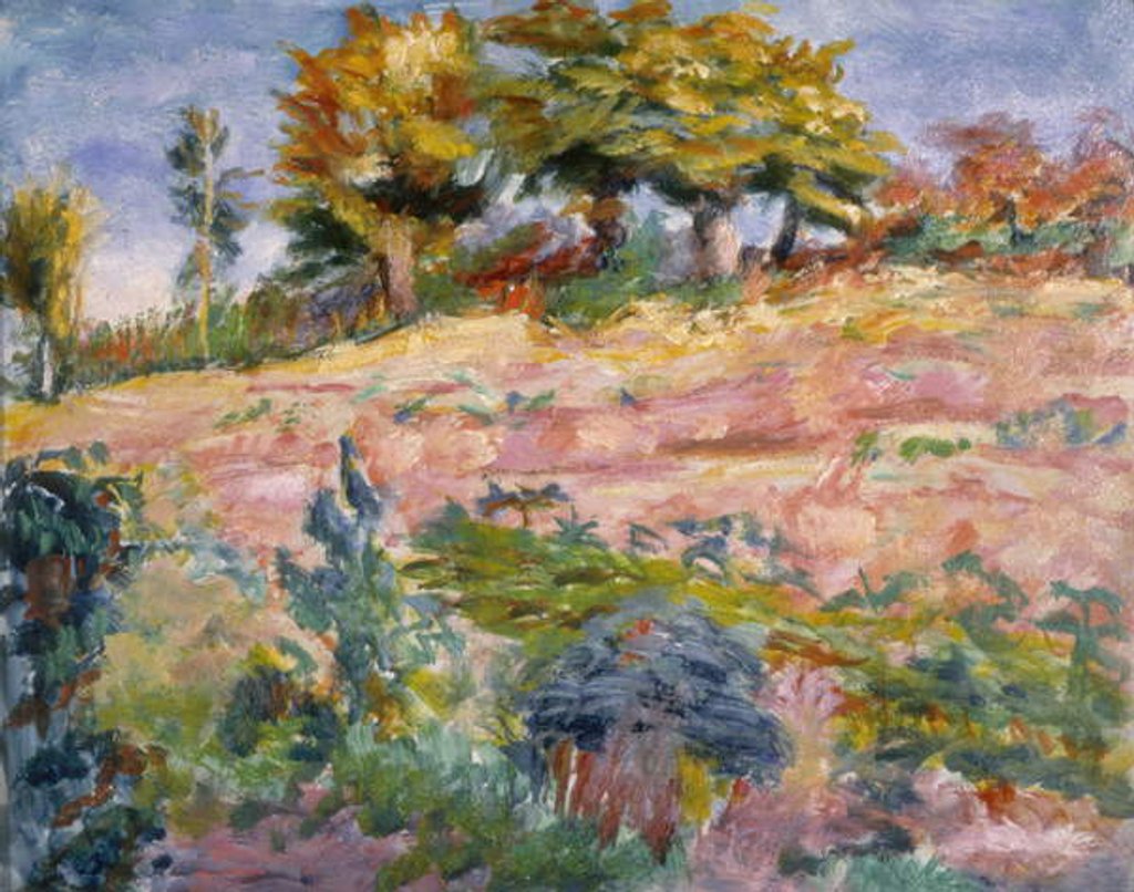 Detail of Landscape, c.1910 by Roderic O'Conor